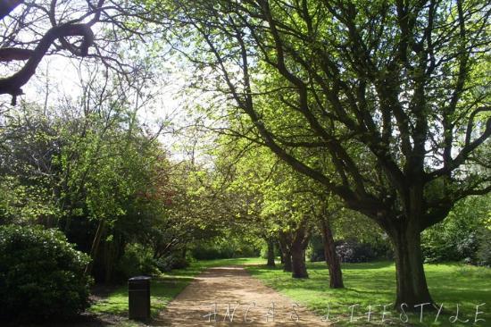 Wavertree Botanik Bahçeleri